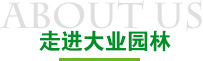走进奇异果体育